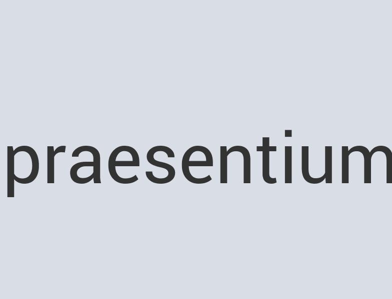 Fantastic Silk Candlelight Vittles